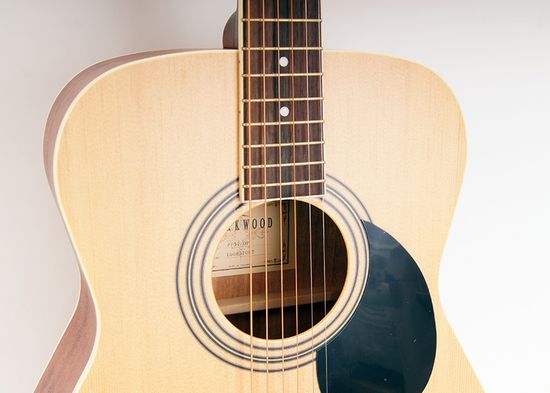 Акустическая гитара с чехлом, Parkwood PF51-OP