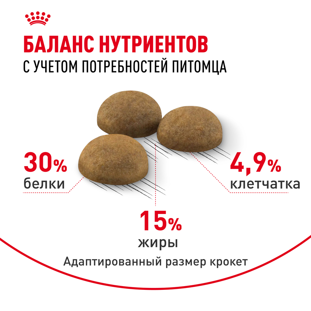 Royal Canin Indoor Long Hair Индор Лонг Хэйр Корм сухой для длинношерстных кошек в возрасте от 1 года до 7 лет живущих в помещении 2кг