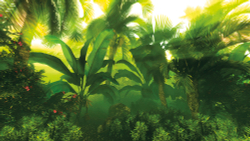 Коллекция Тропическое