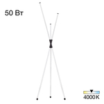 Citilux LUCIA CL217961 Торшер светодиодный Чёрный