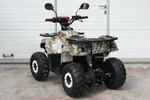 Квадроцикл GRIZZLY Aerox Mini 125cc