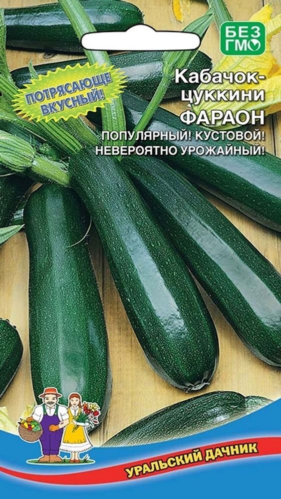 Кабачок &quot;G. Фараон&quot; 10шт., Россия.