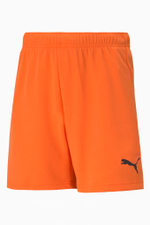 Шорты Puma teamRISE Junior