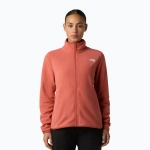 Женская флисовая толстовка The North Face Glacier Fleece mars dust