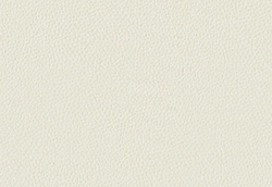 Микрофибра Montana (Монтана) 10