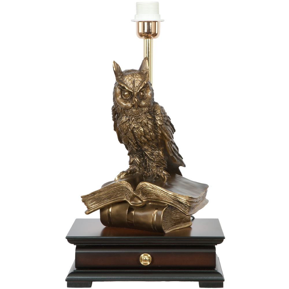 Настольная лампа с бюро Ученый Филин Тюссо Мурена