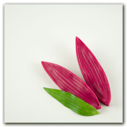 силиконовый молд для глины лист лилии