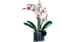 Конструктор LEGO Botanical Collection 10311 Орхидея