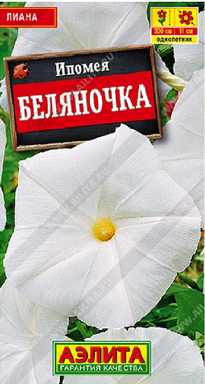 Ипомея Беляночка