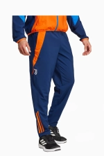 Штаны adidas Juventus FC 24/25 Presentation - темно-синий