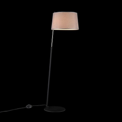 Торшер Maytoni MOD613FL-01B