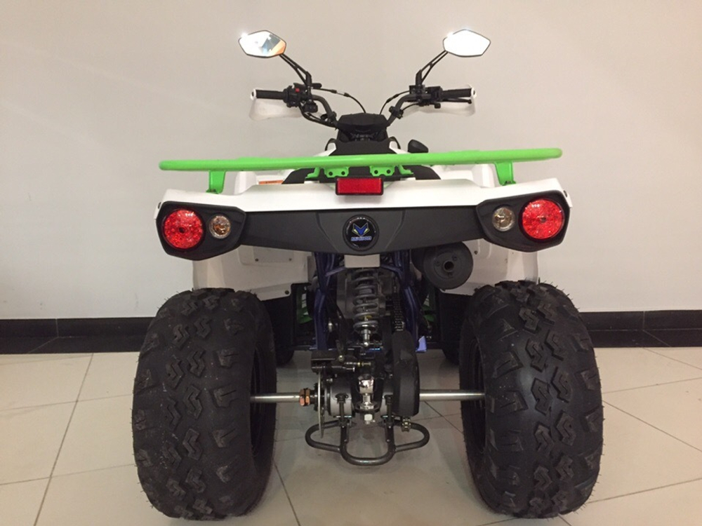 MOTAX ATV Grizlik 200 NEW