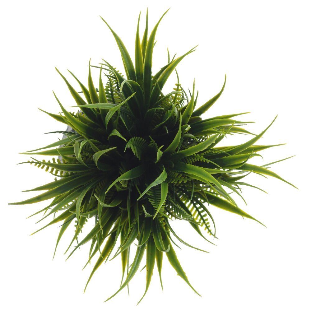 GAEM Цветочная композиция "Трава с папоротником", L12 W12 H17 см