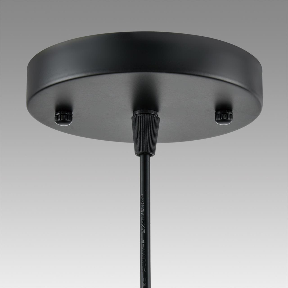 Подвесной светильник Lumion LEONELA 8052/1А