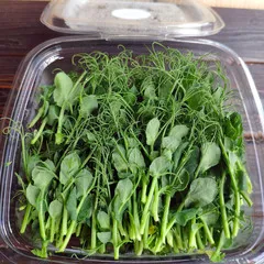 СРЕЗ / Горошек зеленый афилла (лоток) / 100 гр СРЕЗ / Горошек зеленый афилла (лоток) / 100 гр