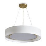 Подвесная люстра Freya COZY FR6170PL-L52BS