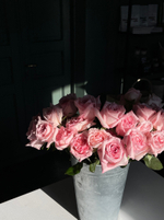 Роза розовая одноголовая