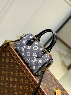 Louis Vuitton Nano Speedy
