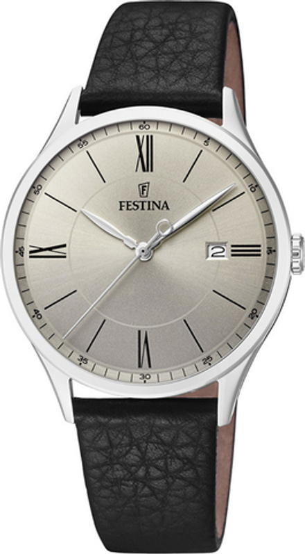 Мужские наручные часы Festina F16978/2