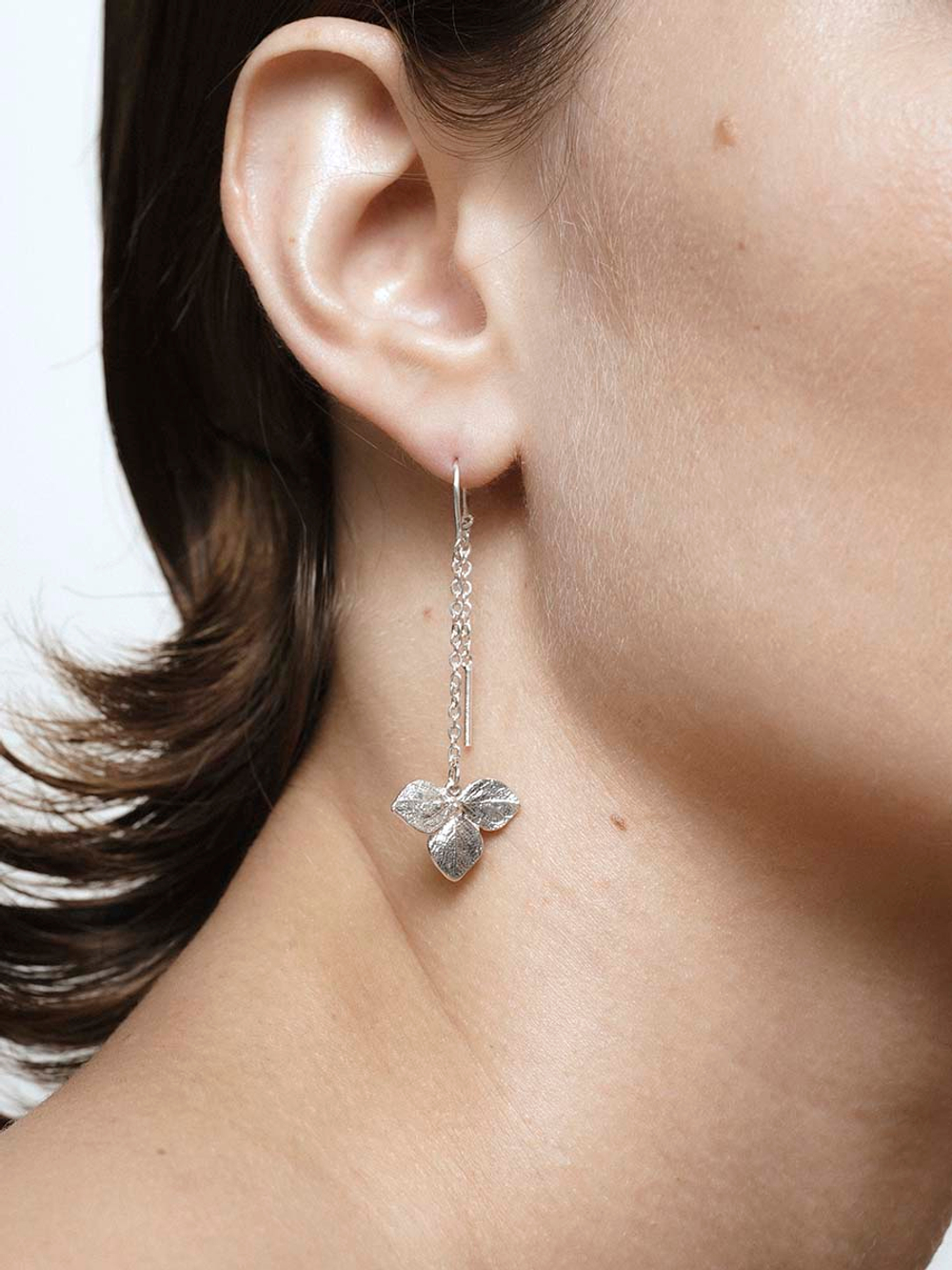 протяжки гортензии длинные