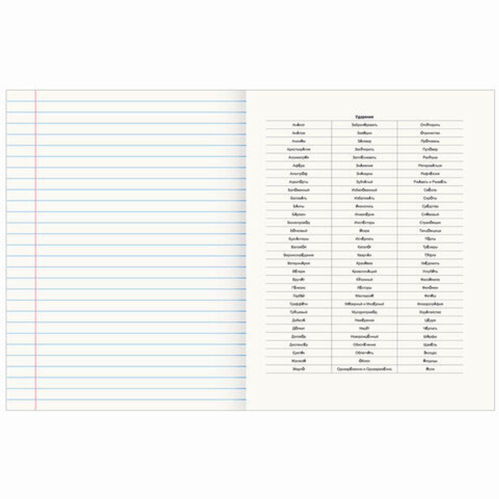 Тетрадь предметная со справочным материалом VISION 48 л., обложка картон, РУССКИЙ ЯЗЫК, линия, BRAUBERG, 404258