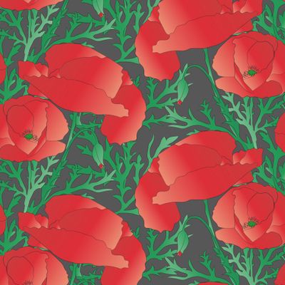 Красные маки на темном фоне