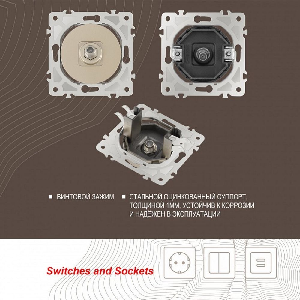 ТВ-розетка без рамки Arte Milano am-202 202.42-1.shampan