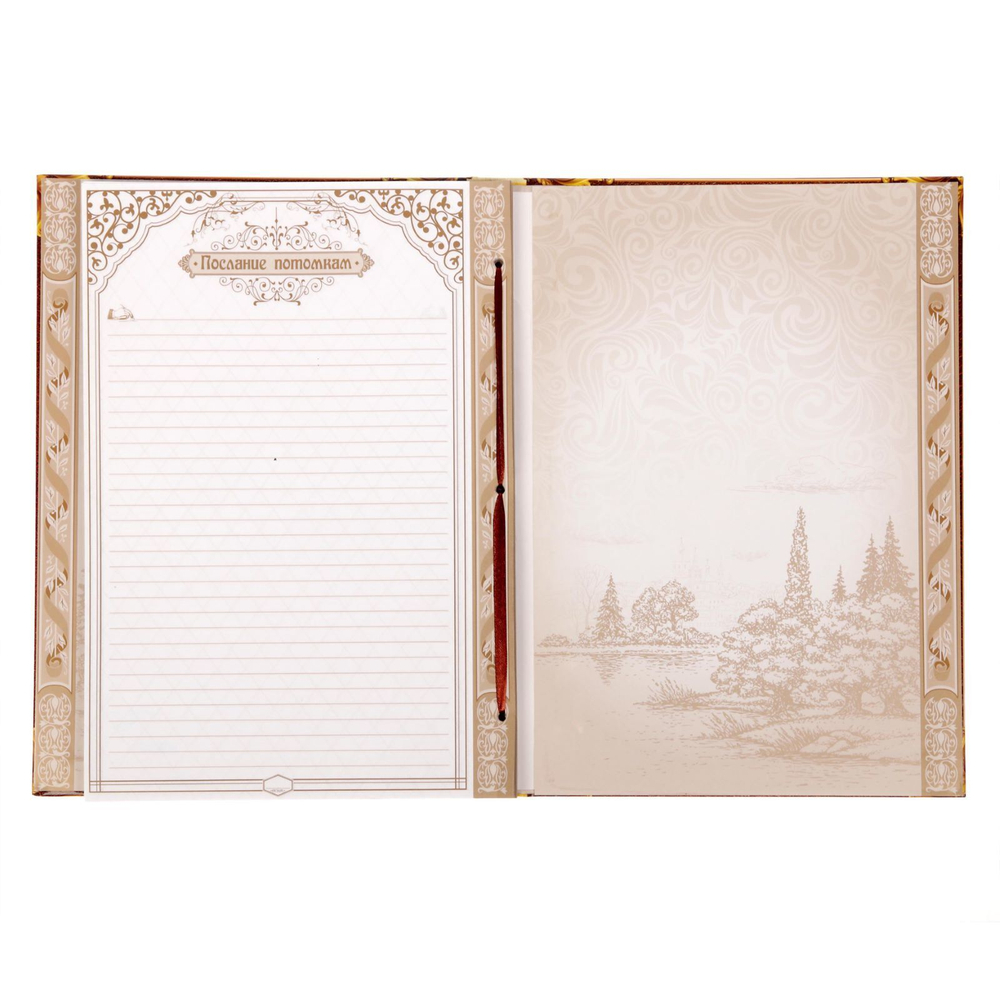 Родословная книга «Дерево», 100 страниц, 22х31 см