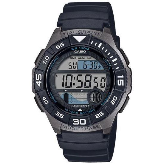 Часы CASIO WS-1100H-1AVEF