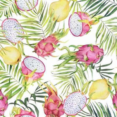 Драгонфруты и пальма на белом. Акварель