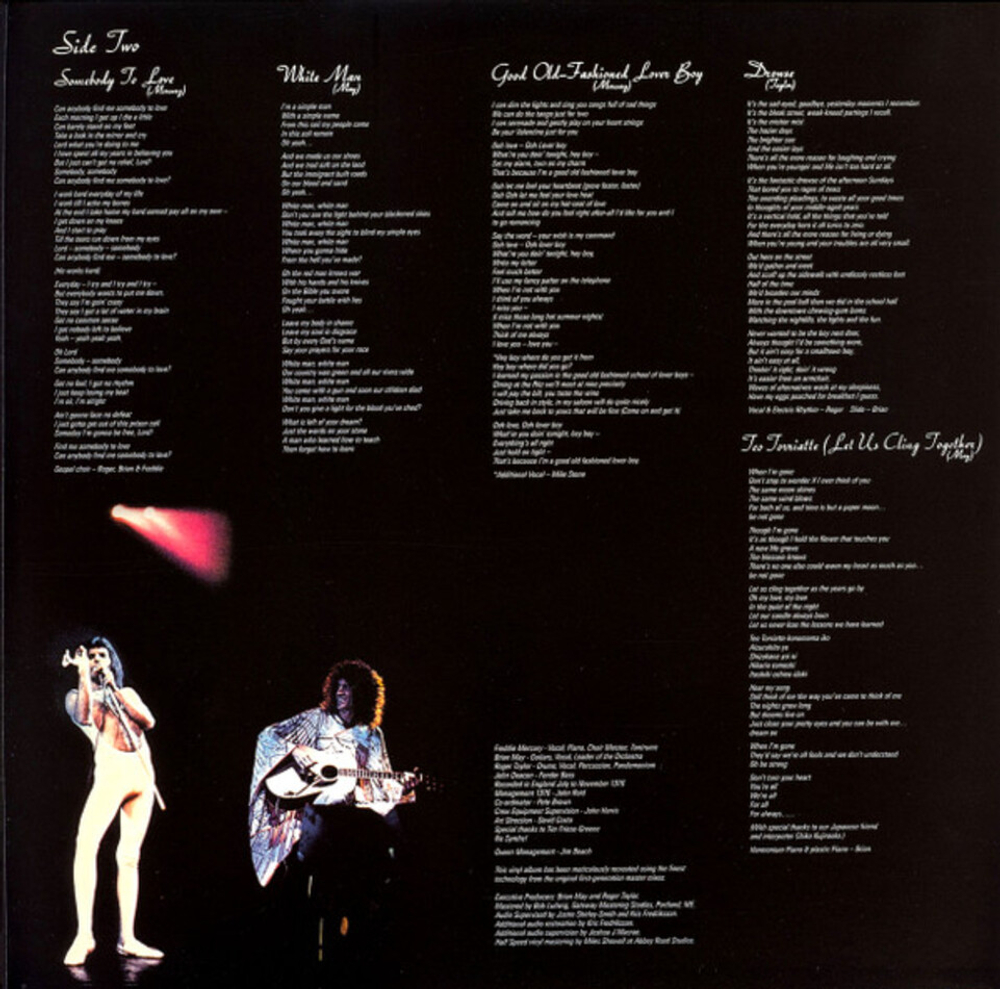 Queen / A Day At The Races (LP)