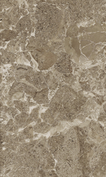 Saloni brown wall 02 v2 300х500 (1-й сорт)