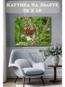 Картина на стену 40 X 50 Бабочка
