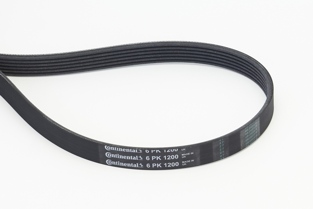 CONTINENTAL CTAM - 6PK1200-COT - V-ribbed Belt