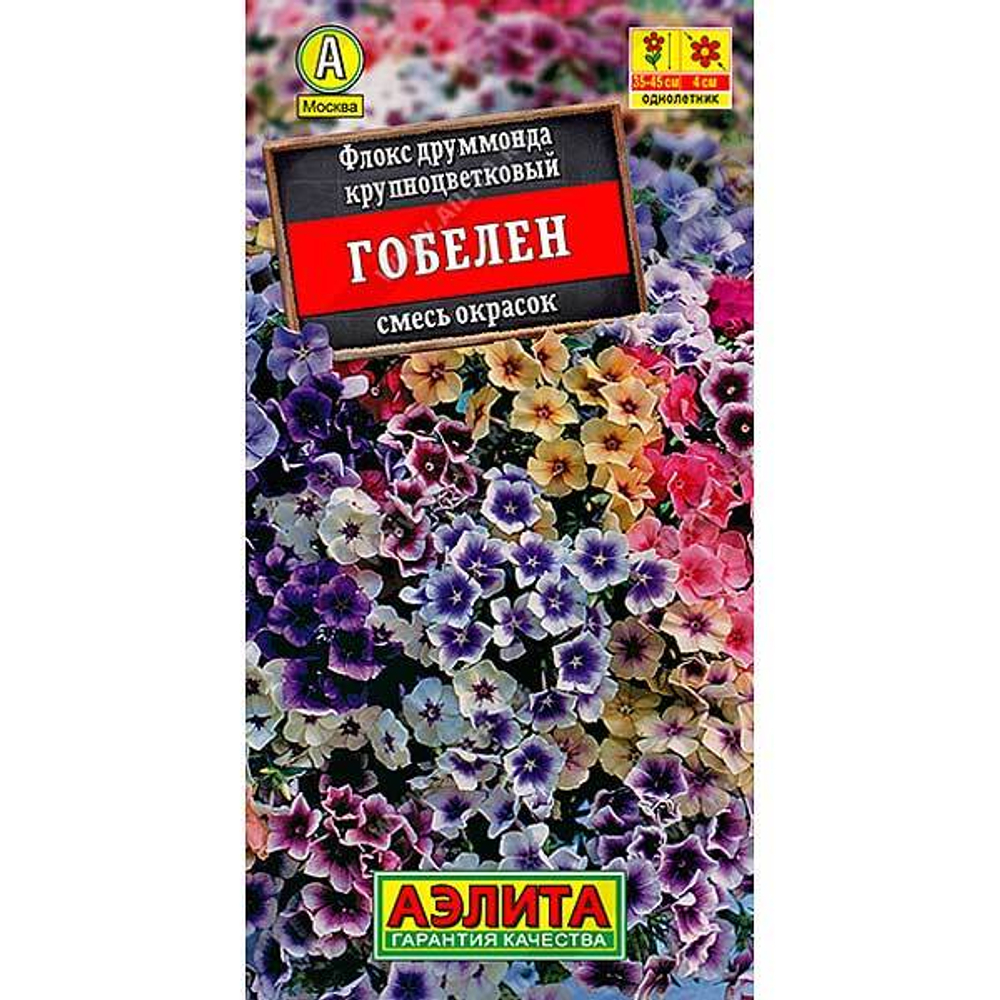Флокс Гобелен смесь Аэлита Ц
