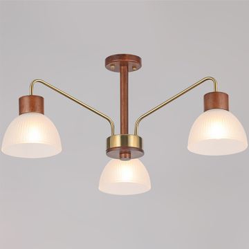 IL0286-3C-79 BR светильник потолочный