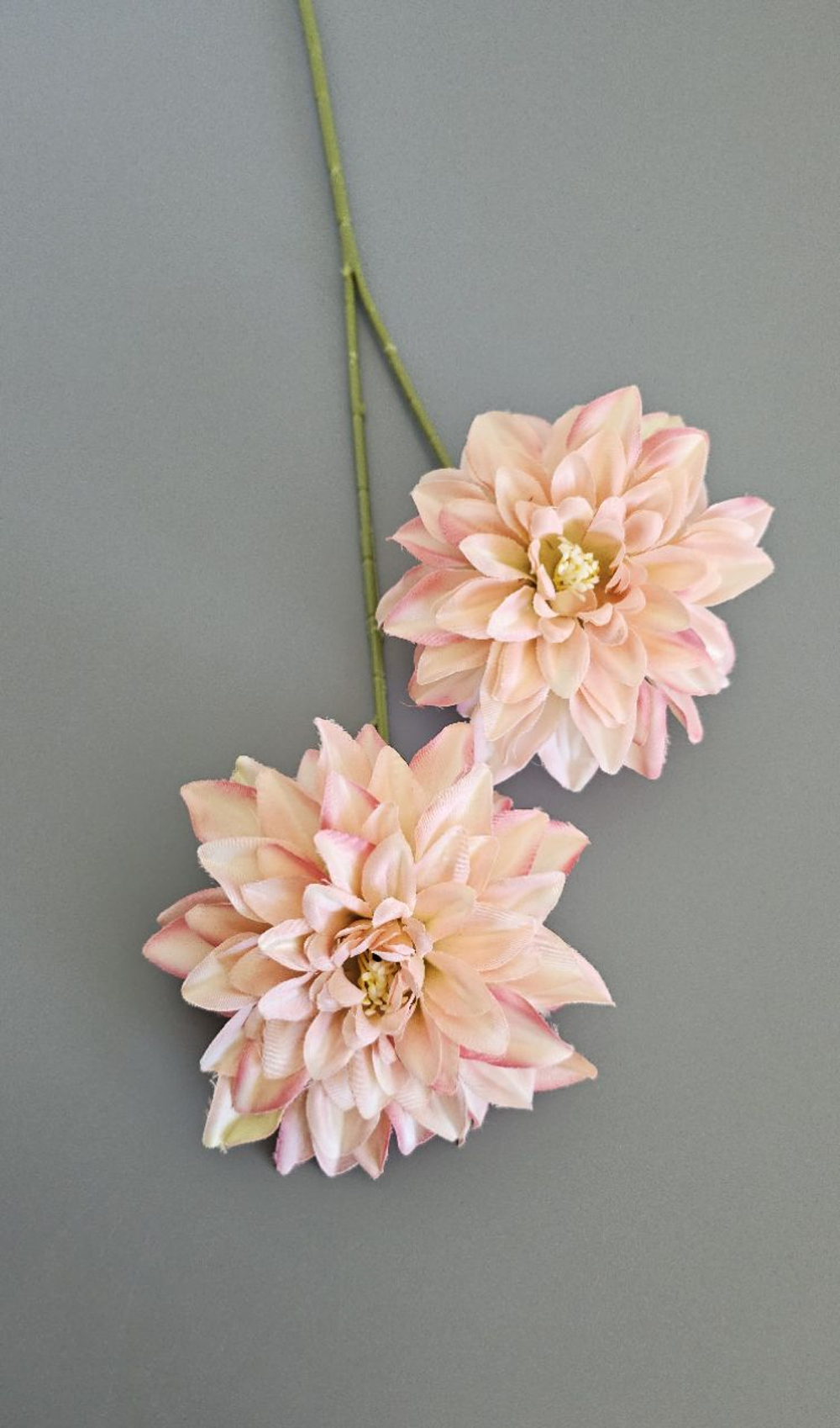 Хризантема / Арт 2623