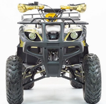 Квадроцикл PROMAX ATV 300