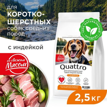 Корм сухой для взрослых собак средних пород, премиум полнорационный комплекс, для короткошерстных собак, с индейкой, 2,5 кг, QUATTRO