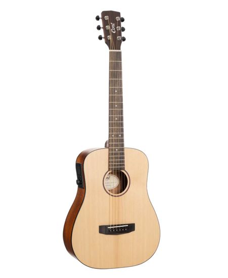 Электроакустическая гитара с чехлом, Cort Earth-GO-OP-wbag