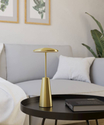 Аккумуляторная настольная лампа Eglo PICCOLA 900923