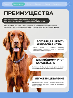 Корм для взрослых собак породы Ирландский сеттер, с кроликом, 3 кг, QUATTRO