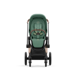 Коляска Cybex Priam IV 3 в 1 цвет Leaf Green на шасси Rosegold