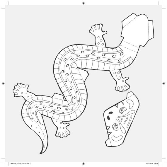 Раскраска - конструктор. Животные
