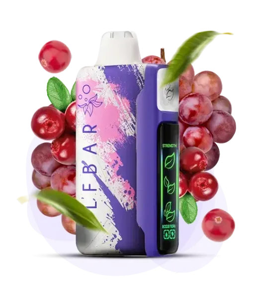 ELF BAR NIC KING - Grape Cranberry (5% nic)