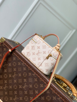 Louis Vuitton Vanity Chain Pouch