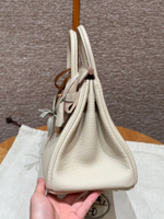 Hermes Birkin 25