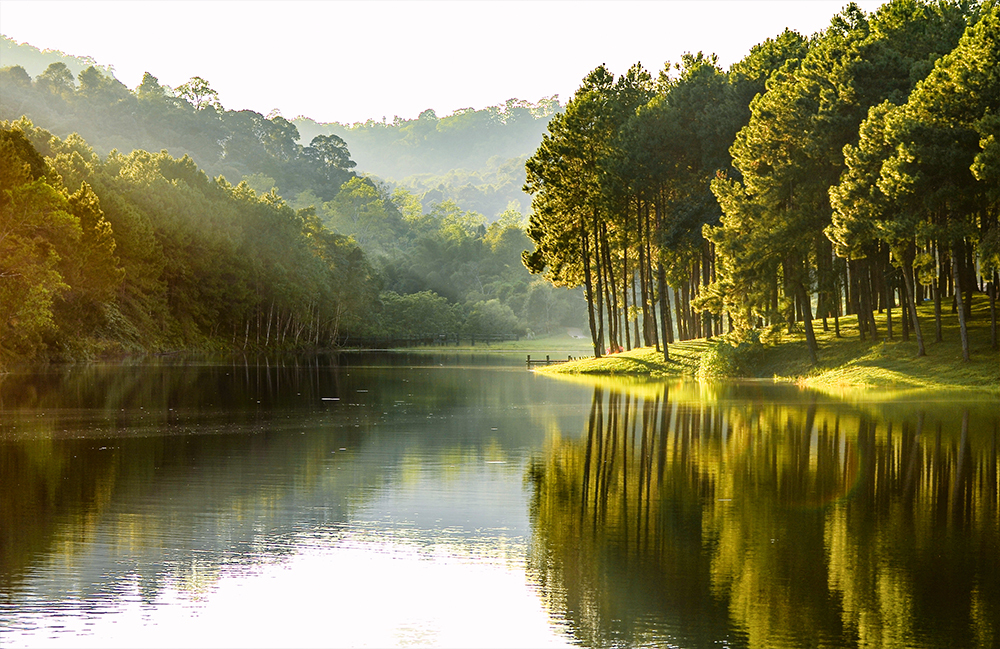 Календарь трехсекционный на 2026 год, "Пейзаж. Отражение"