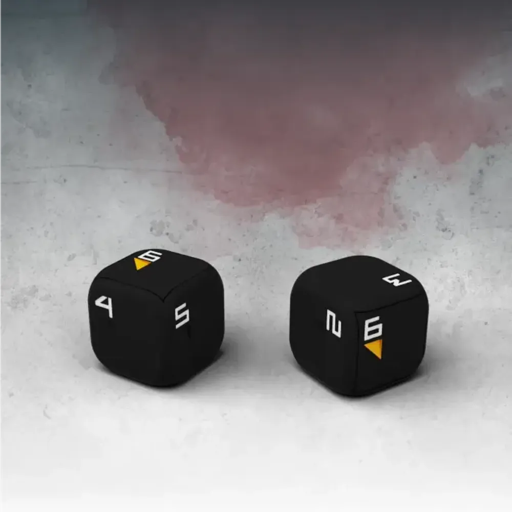 [Предзаказ] Extra Set of 2 D6 Dice