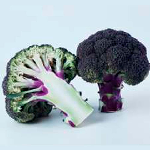 ПЕРПЛ_МЭДЖИК_F1_семена_капусты_брокколи_Sakata_Саката – фото 1